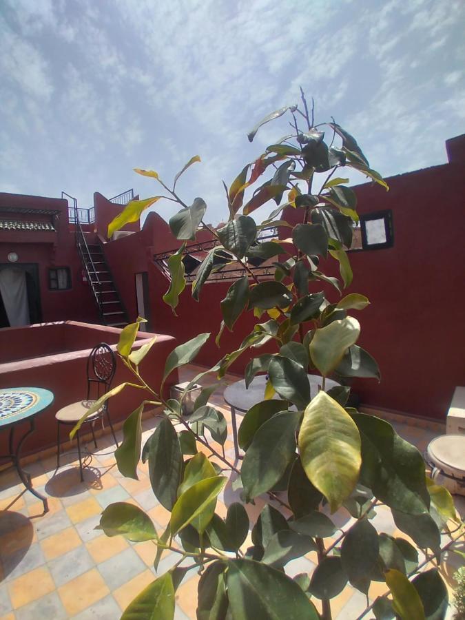 Riad 9 Derb El Bousnne Marrakesh Eksteriør bilde