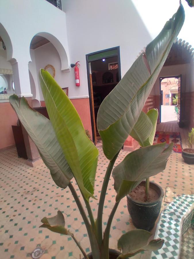 Riad 9 Derb El Bousnne Marrakesh Eksteriør bilde